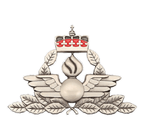 Wing Pin