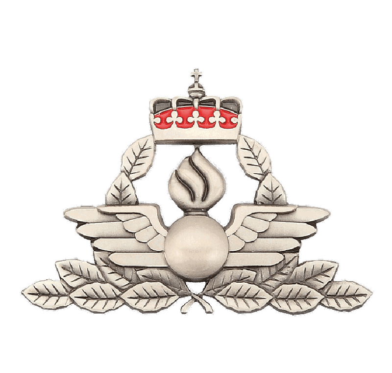 Wing Pin