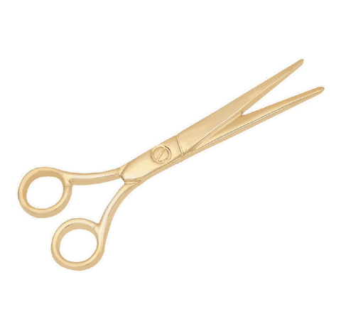 Scissors Pin