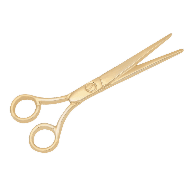Scissors Pin