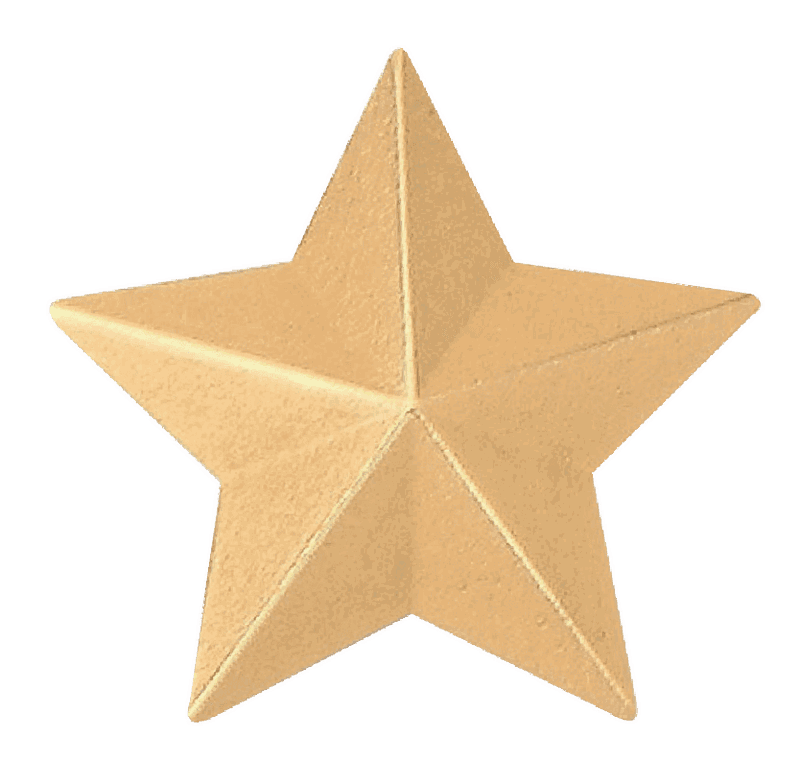 Star Badge