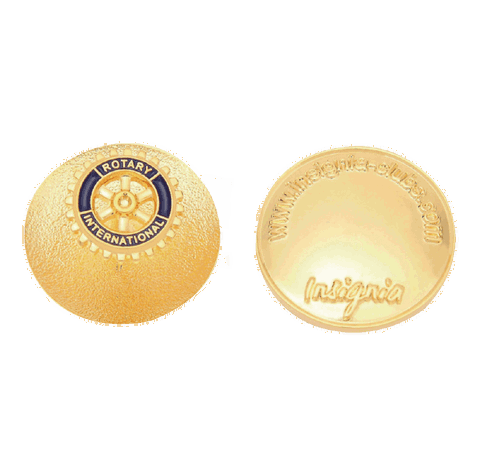 Rotary Club Pin