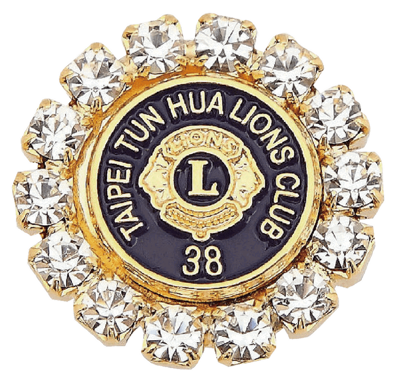 Lions Club Pin