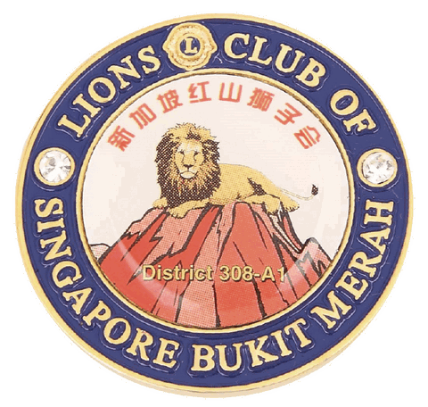 Lions Club Singapore Pin
