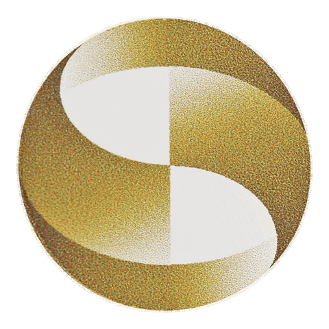 Mega Bank Pin
