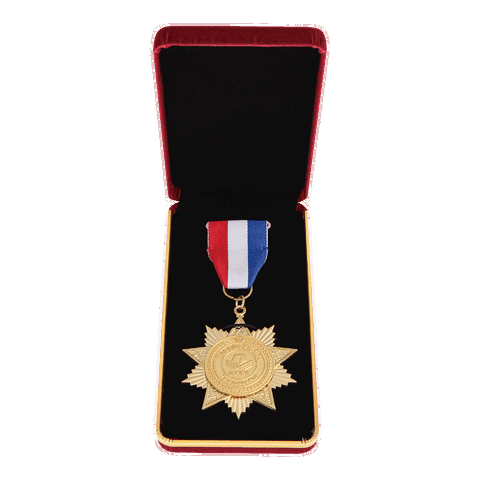 Taiwanese Pen Ribbon with Medal