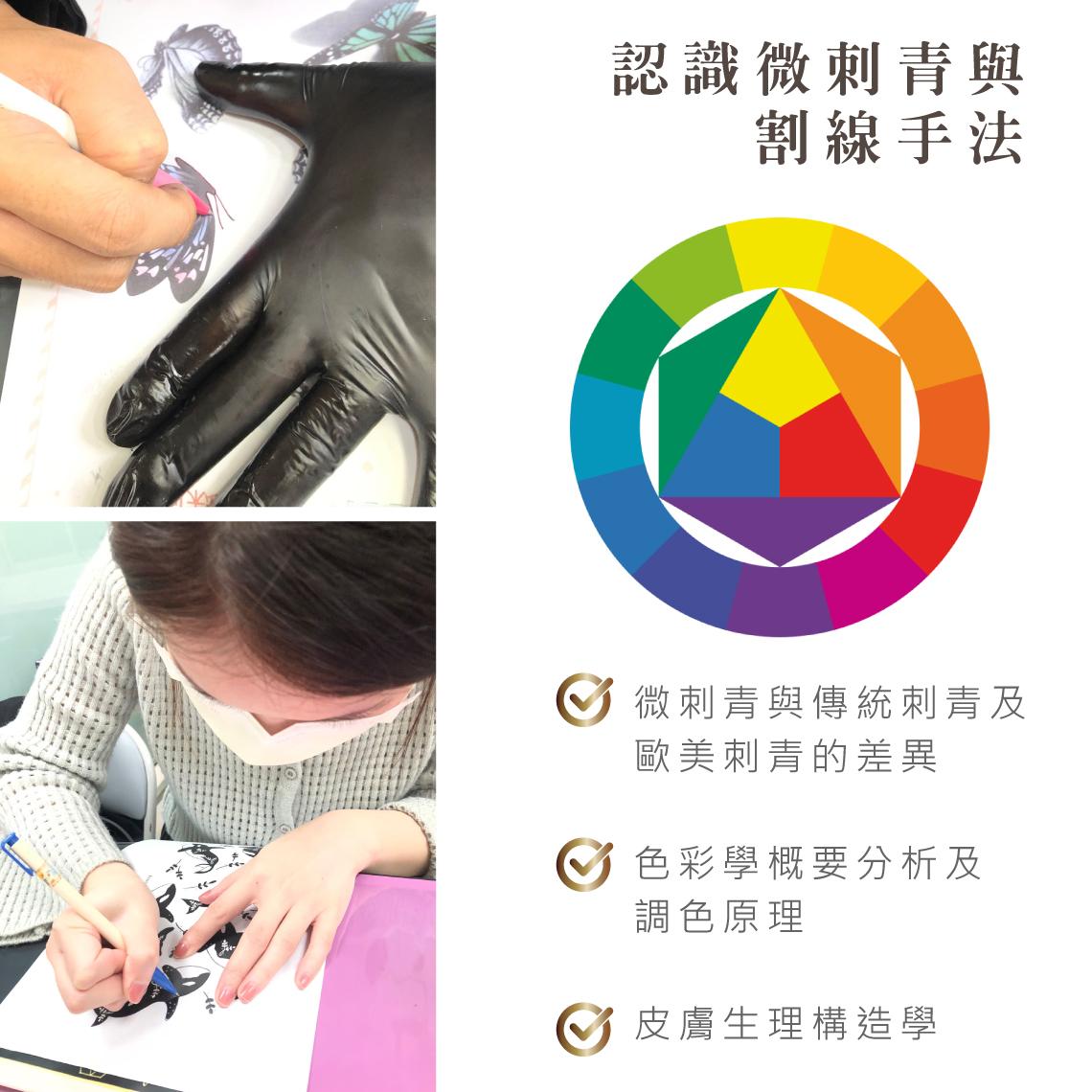 ,皮膚生理構造教學