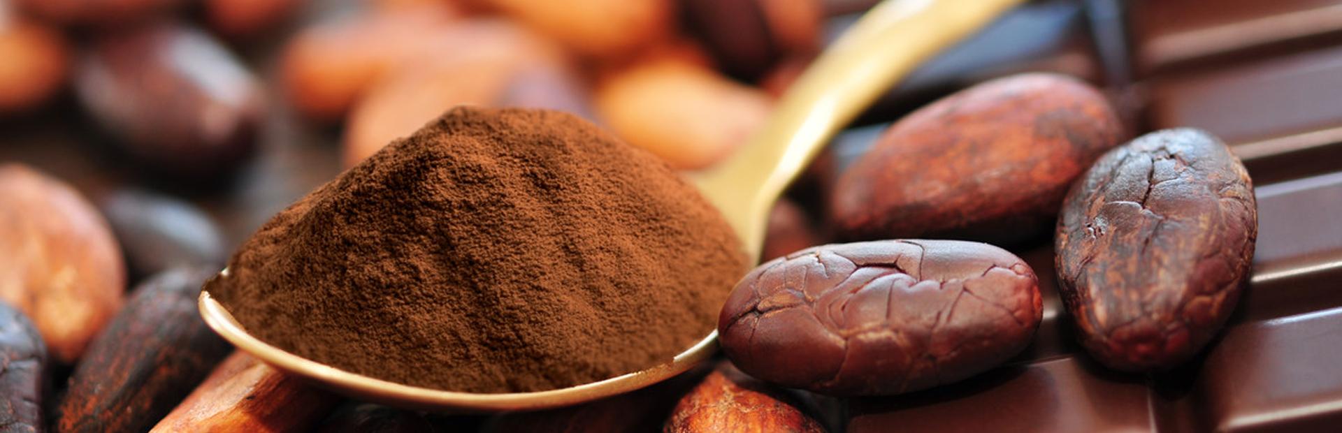 首頁選豆-cocoa brands powder 1920x620-可可粉