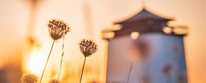 中式禮儀-葬禮安排_480x195.jpg