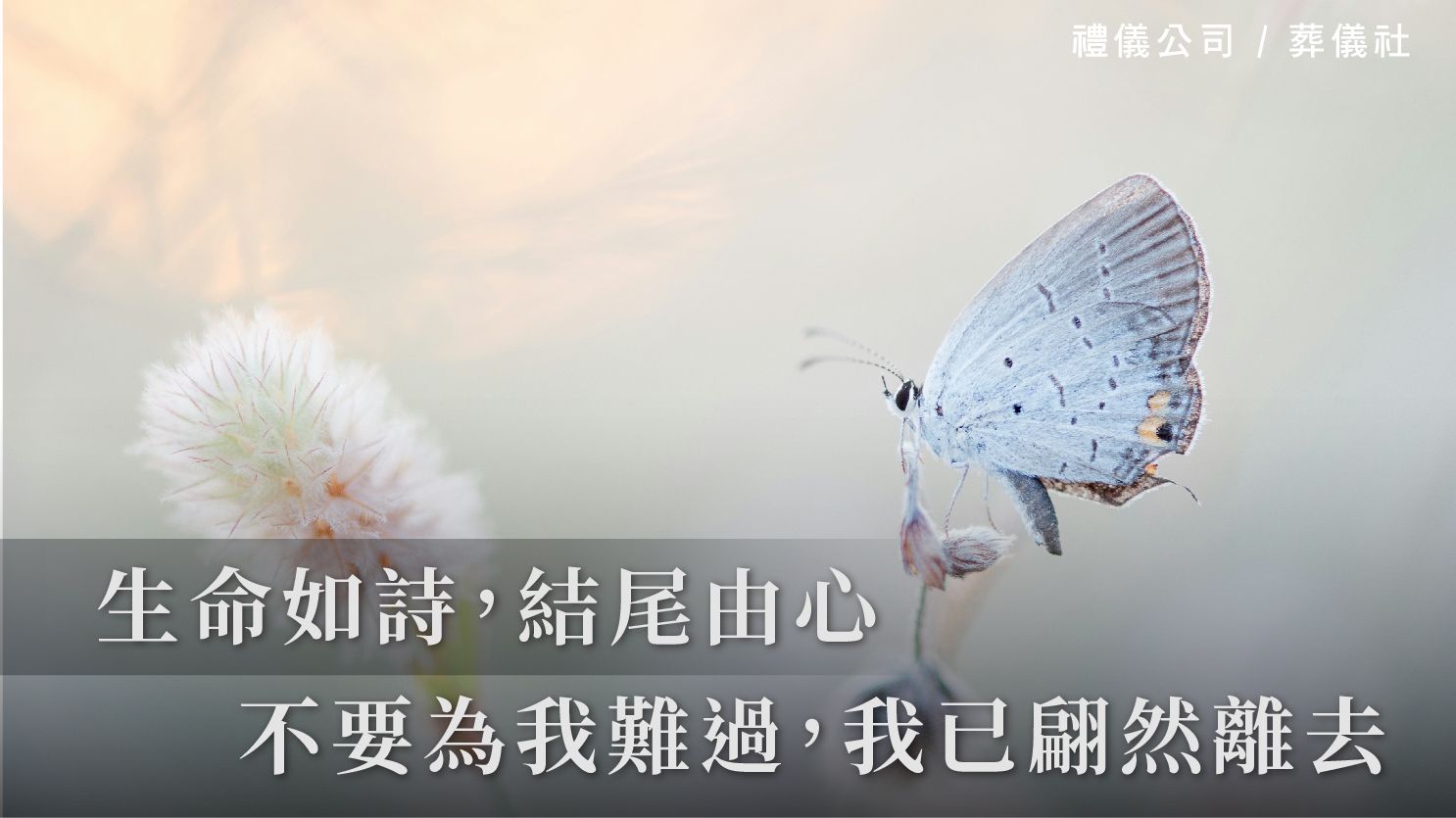 生命如詩,結尾由心-瓊瑤:不要為我難過,我已翩然離去_1070x601_官網.jpg