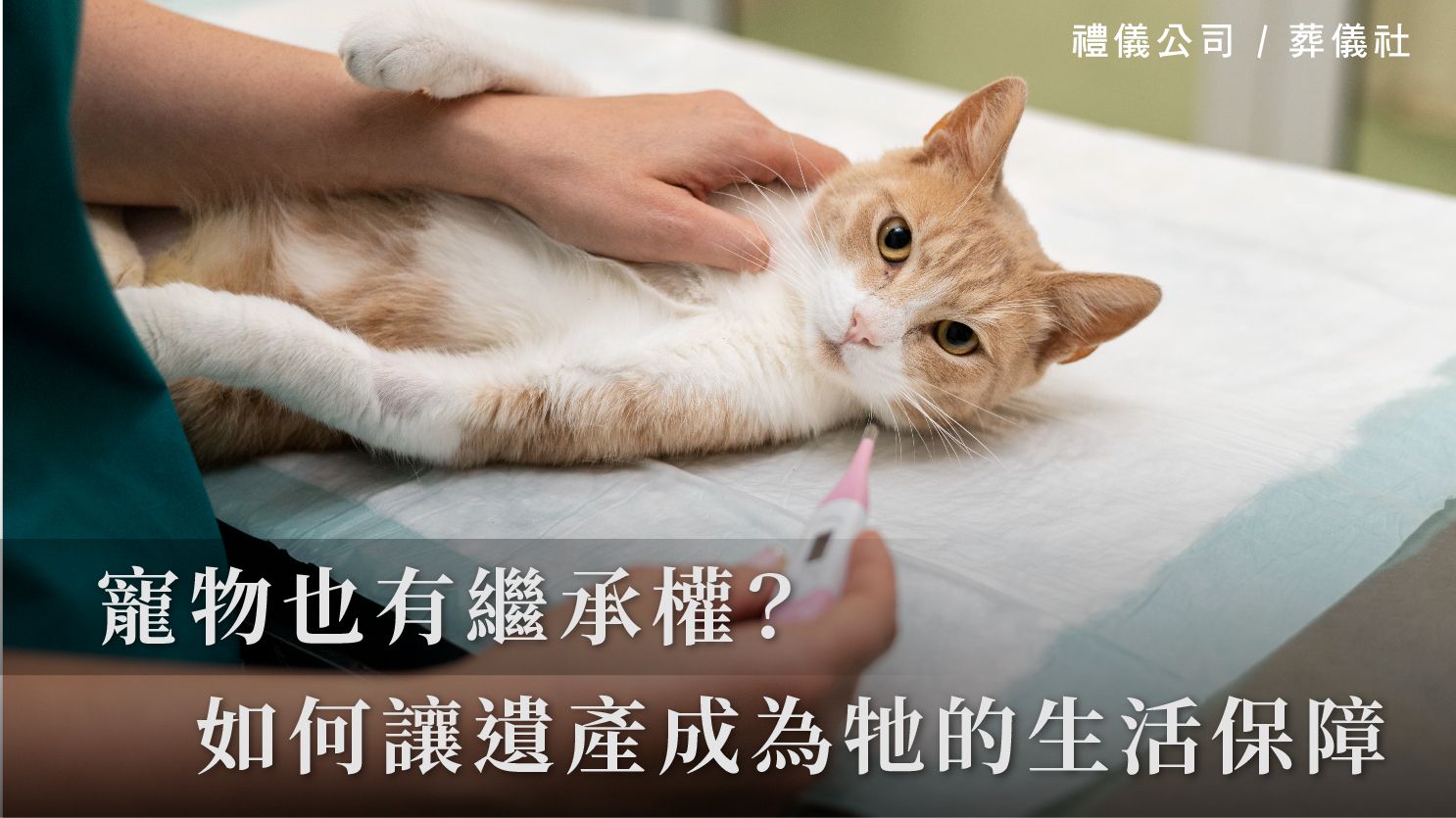 寵物也有繼承權?如何讓遺產成為牠的生活保障_1070x601_官網.jpg