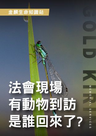 251008官網影片圖_6法會現場動物來訪.jpg