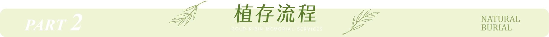 260203植存_2植存流程.jpg