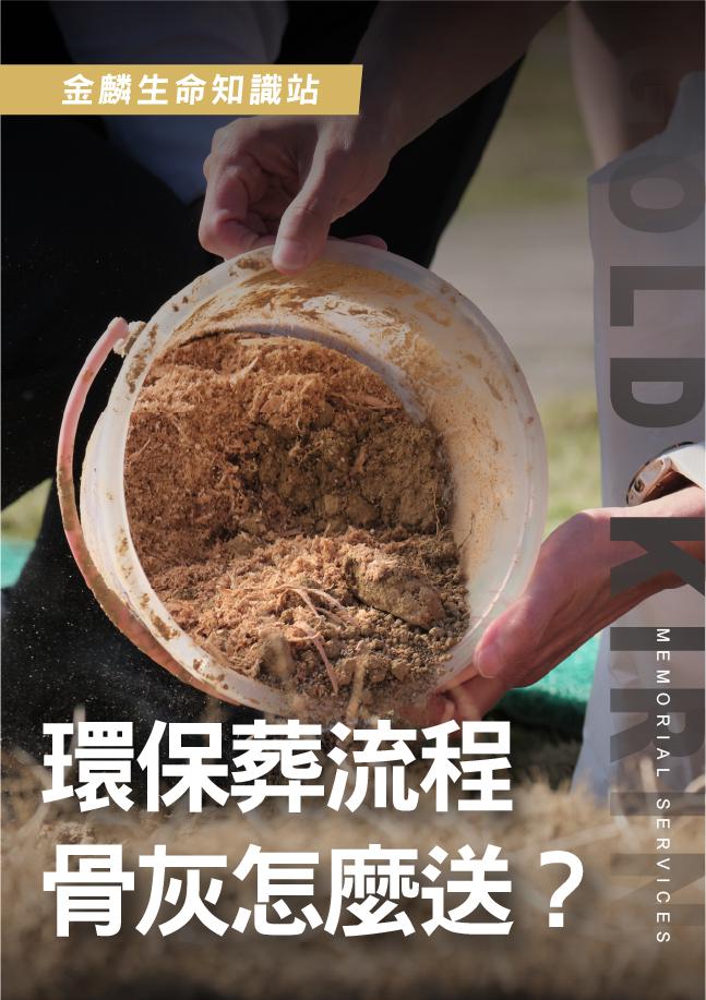 環保葬骨灰怎麼運送？樹葬海葬流程整理，安置流程怎麼走？