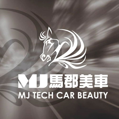 Mj馬郡汽車美容