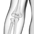 Elbow