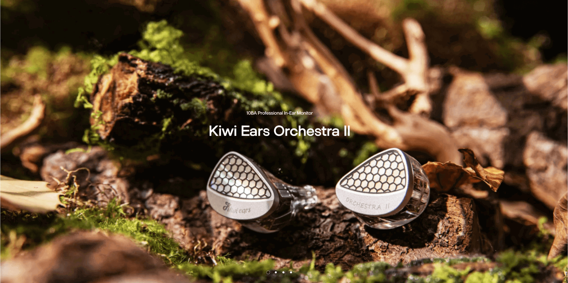 KIWI EARS Orchestra II