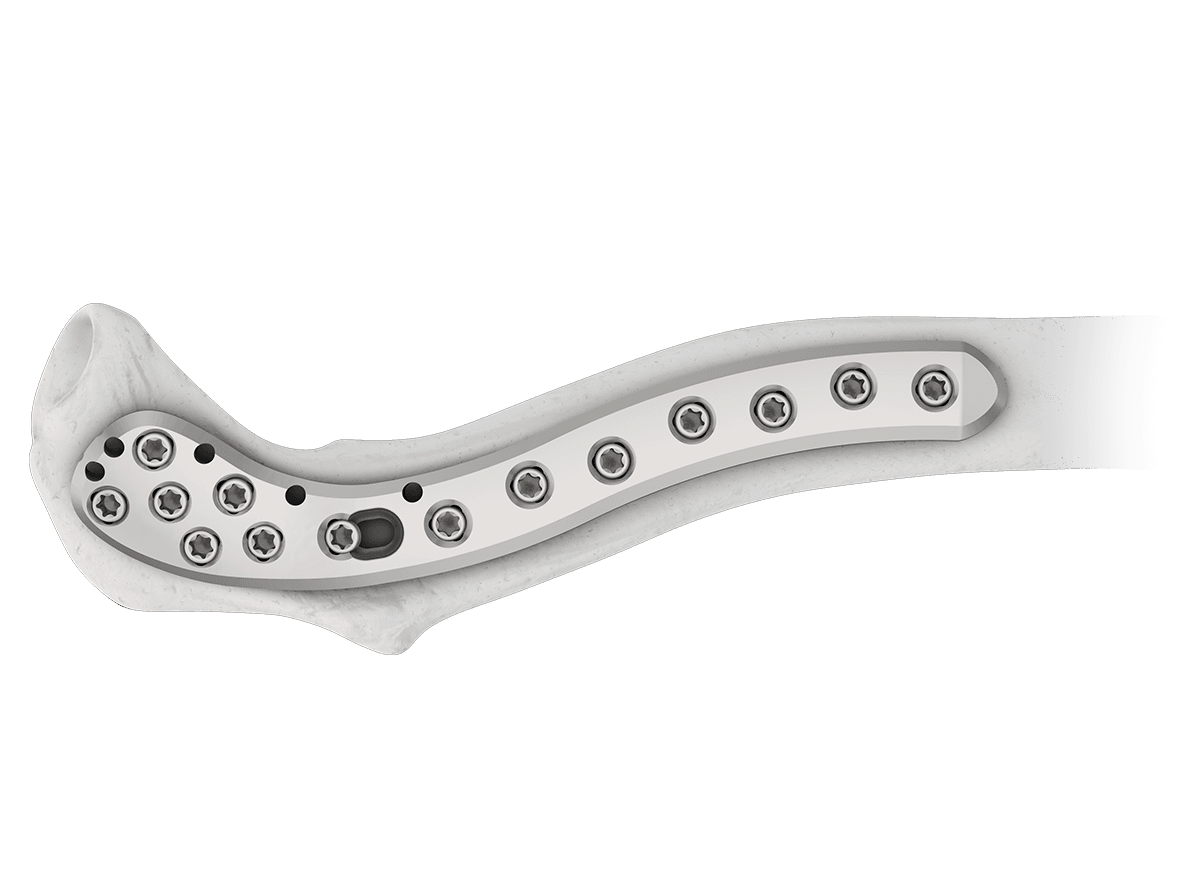 DDC-8.png