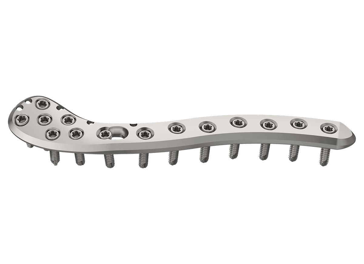 DDC-5.png