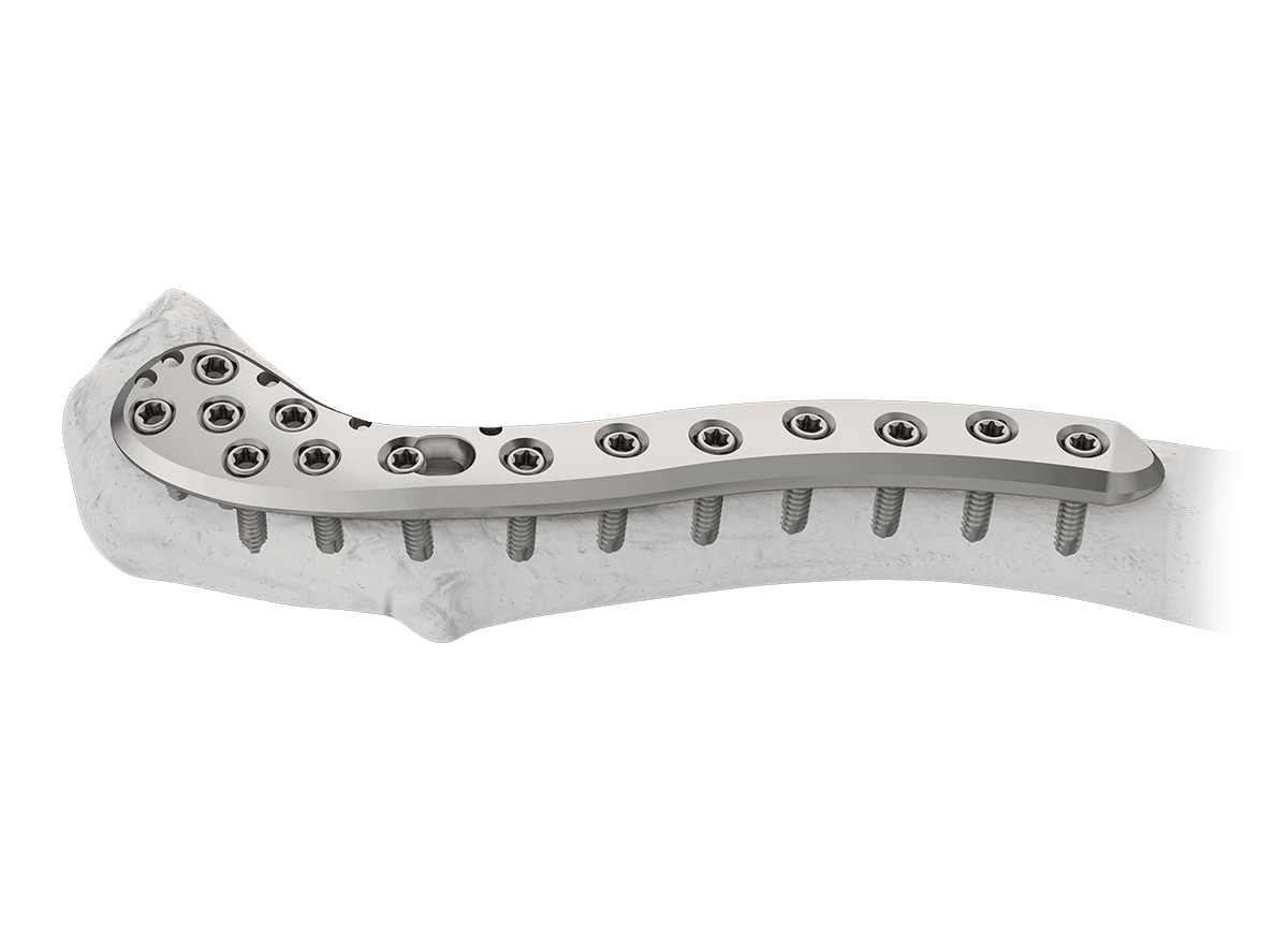 DDC-7.png