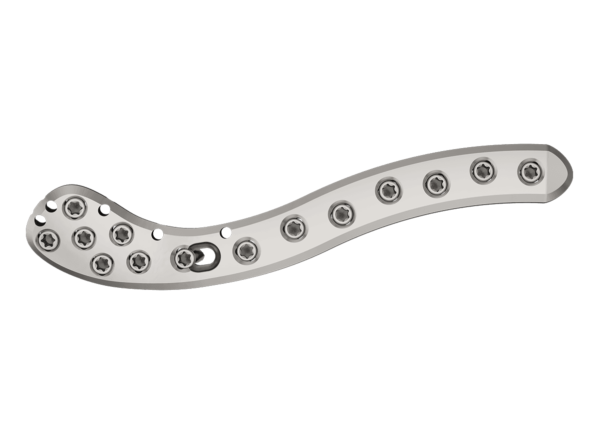 DDC-3.png