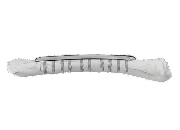 DCM 7