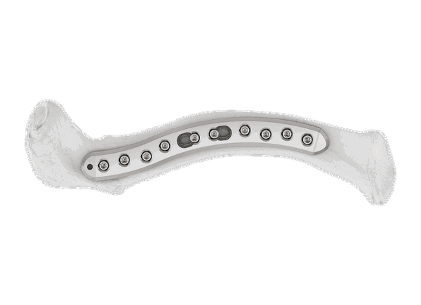 DCM 5