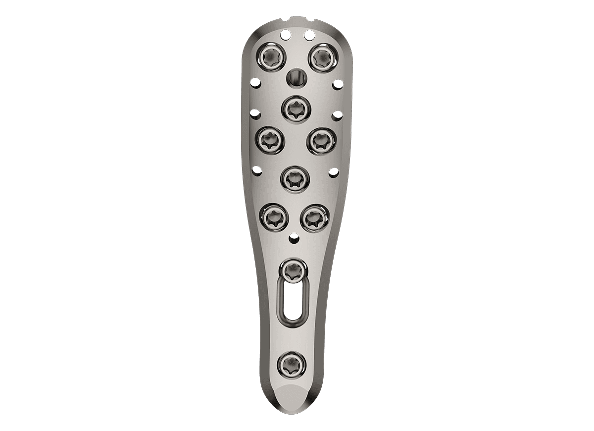 DPH-4.png