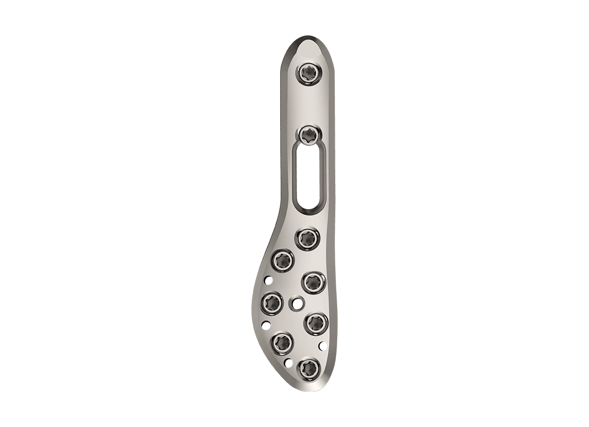 DDF-3.png