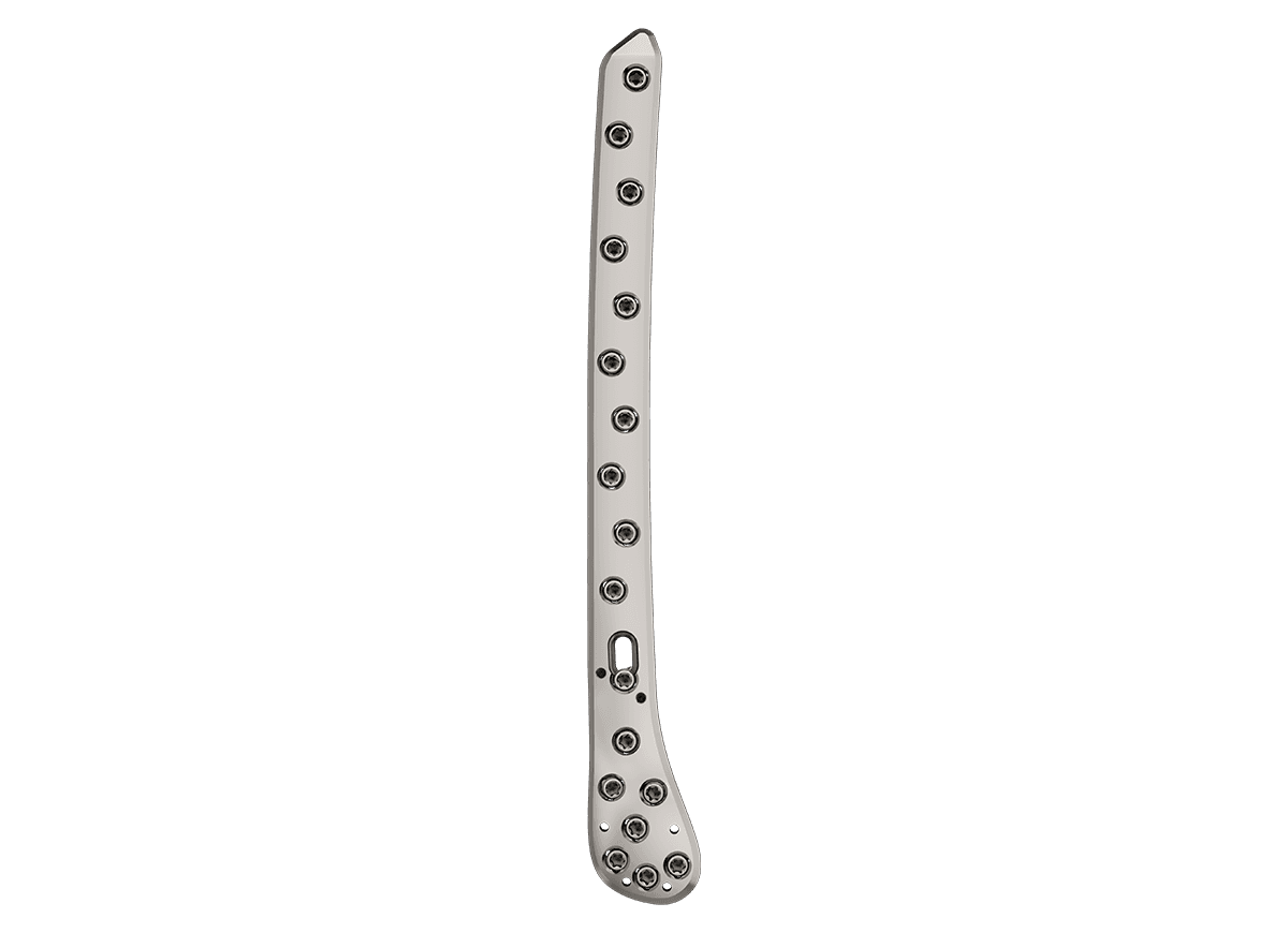 DDLF-4.png