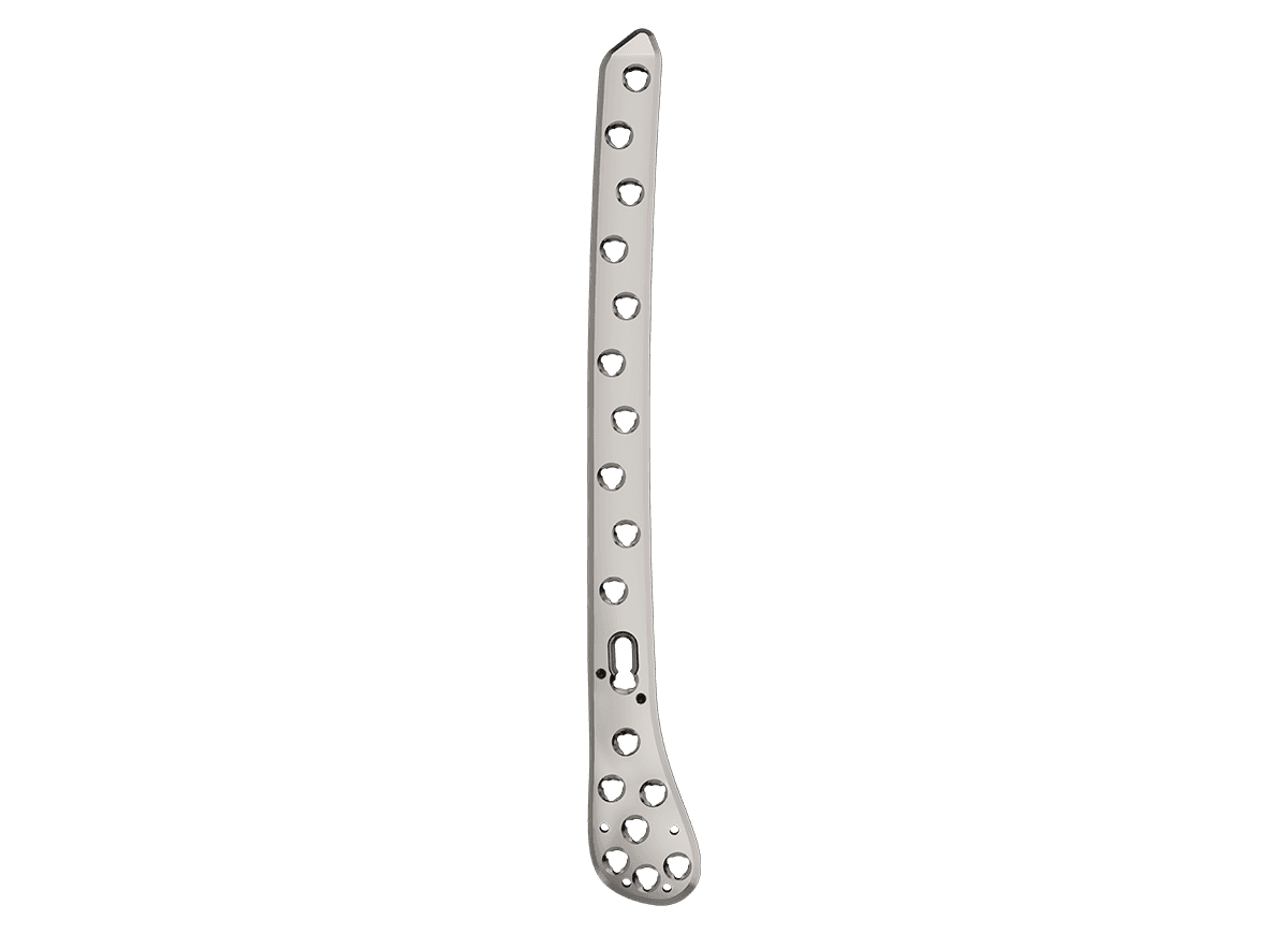 DDLF-3.png