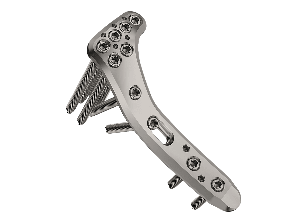 DPLT-2.png