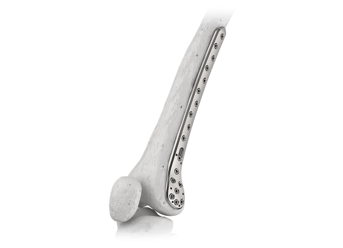 DDLF-8.png