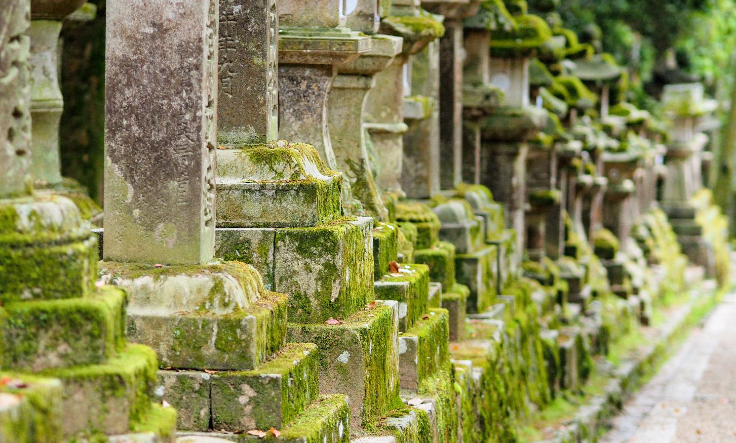 酒駕犯逛生命園，竹市死亡零距離體驗，讓酒駕犯直呼不敢了。_內文.jpg