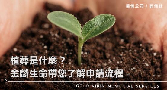 植葬是什麼？金麟生命帶您了解申請流程