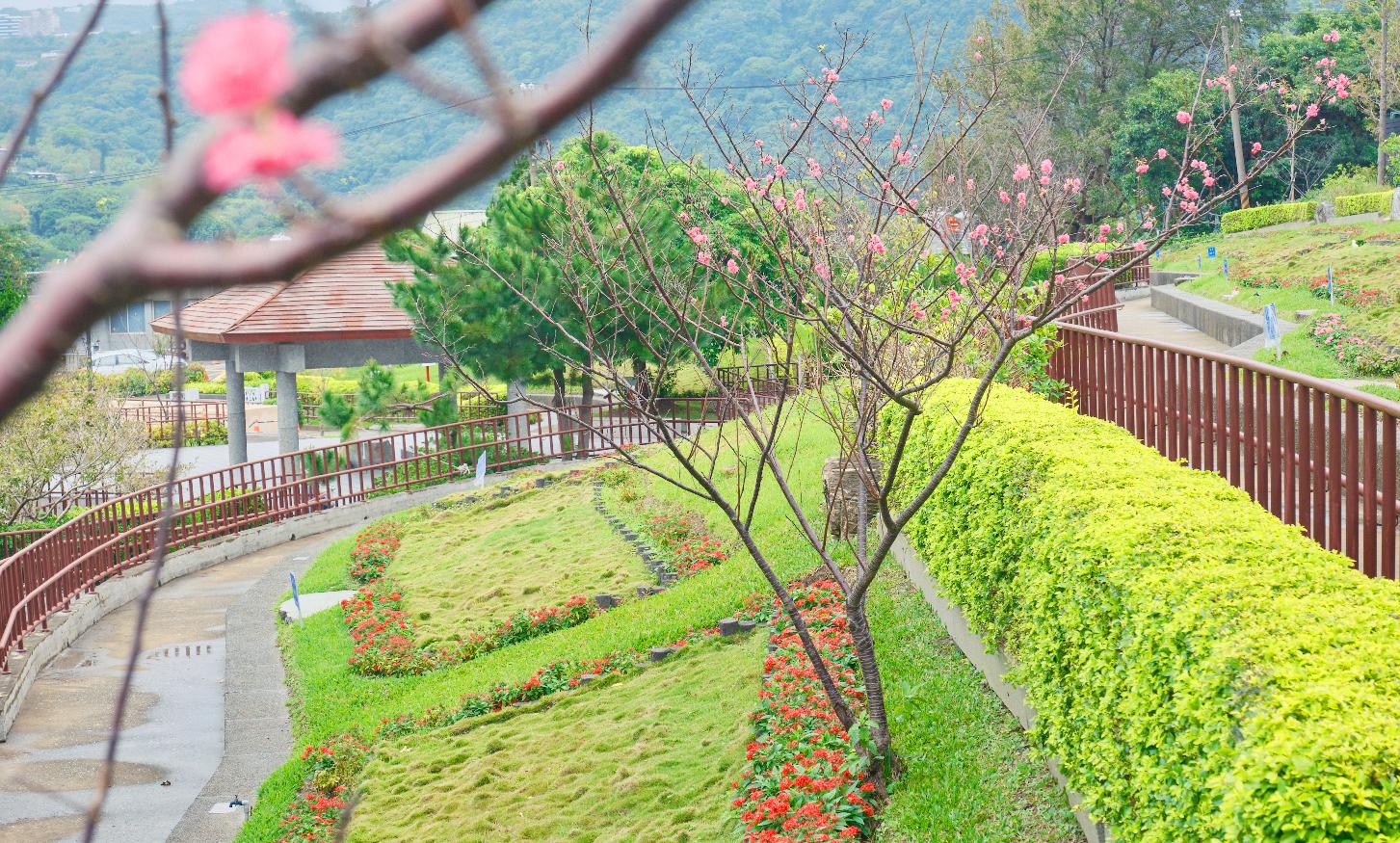 中壢植葬推薦－中壢環保植葬怎麼辦理？完整流程解析_內文.jpg
