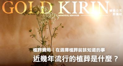 植葬費用｜近幾年流行的植葬是什麼？在選擇前該知道的事