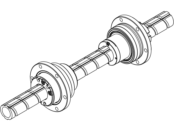 BNS-V.png