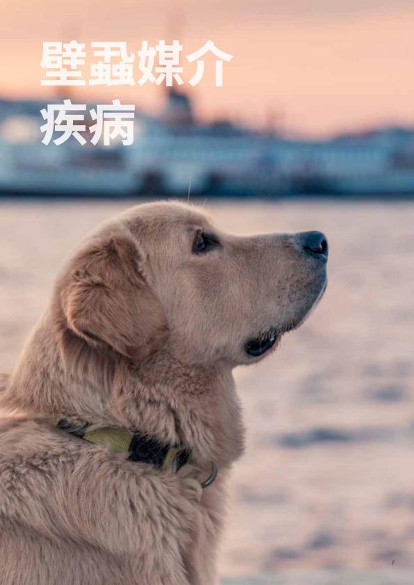 封面-萊姆病快速檢測.jpg