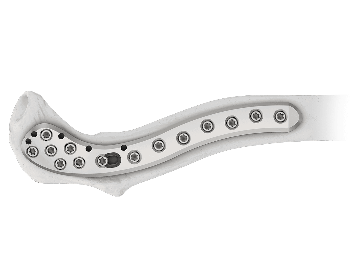 DDC-8.png