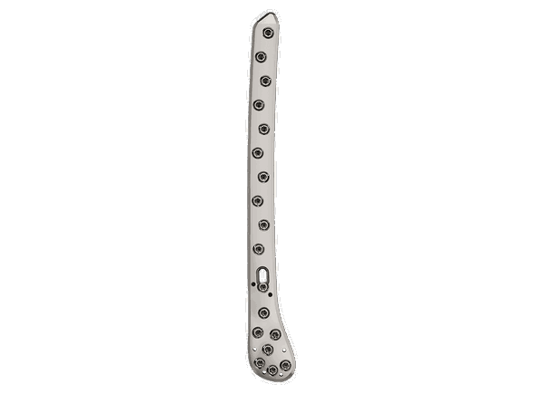DDLF 4