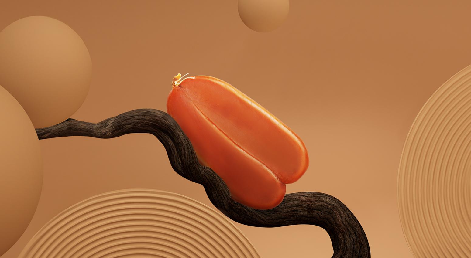 carousel01.jpg