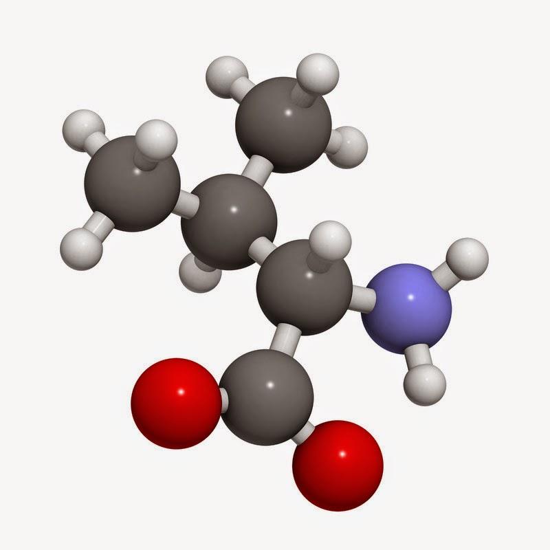 Peptides – What are they really?
