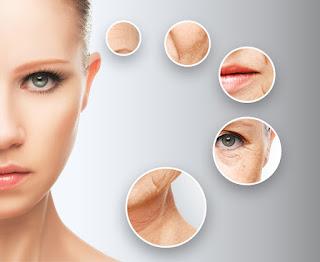 Knowledge & Application Are The Keys to Scientific Skin Care