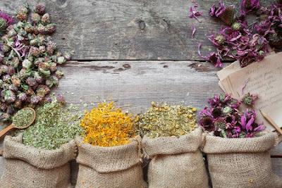 Teatime Is the Right Time for Healing