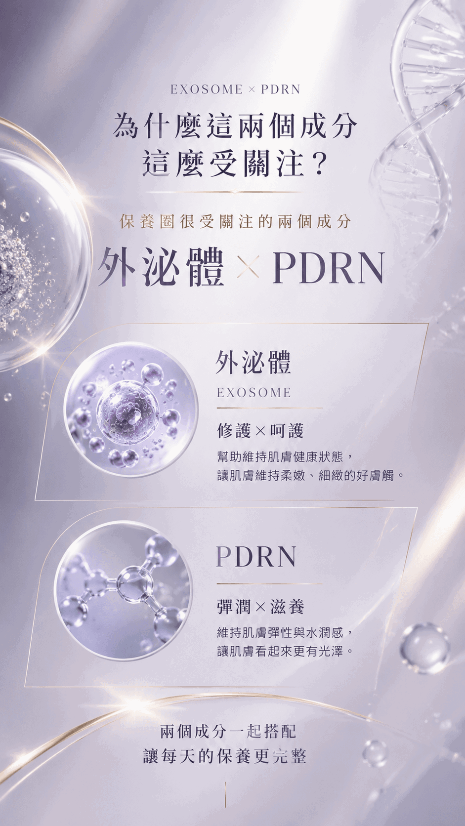外泌體新生精華(3).png