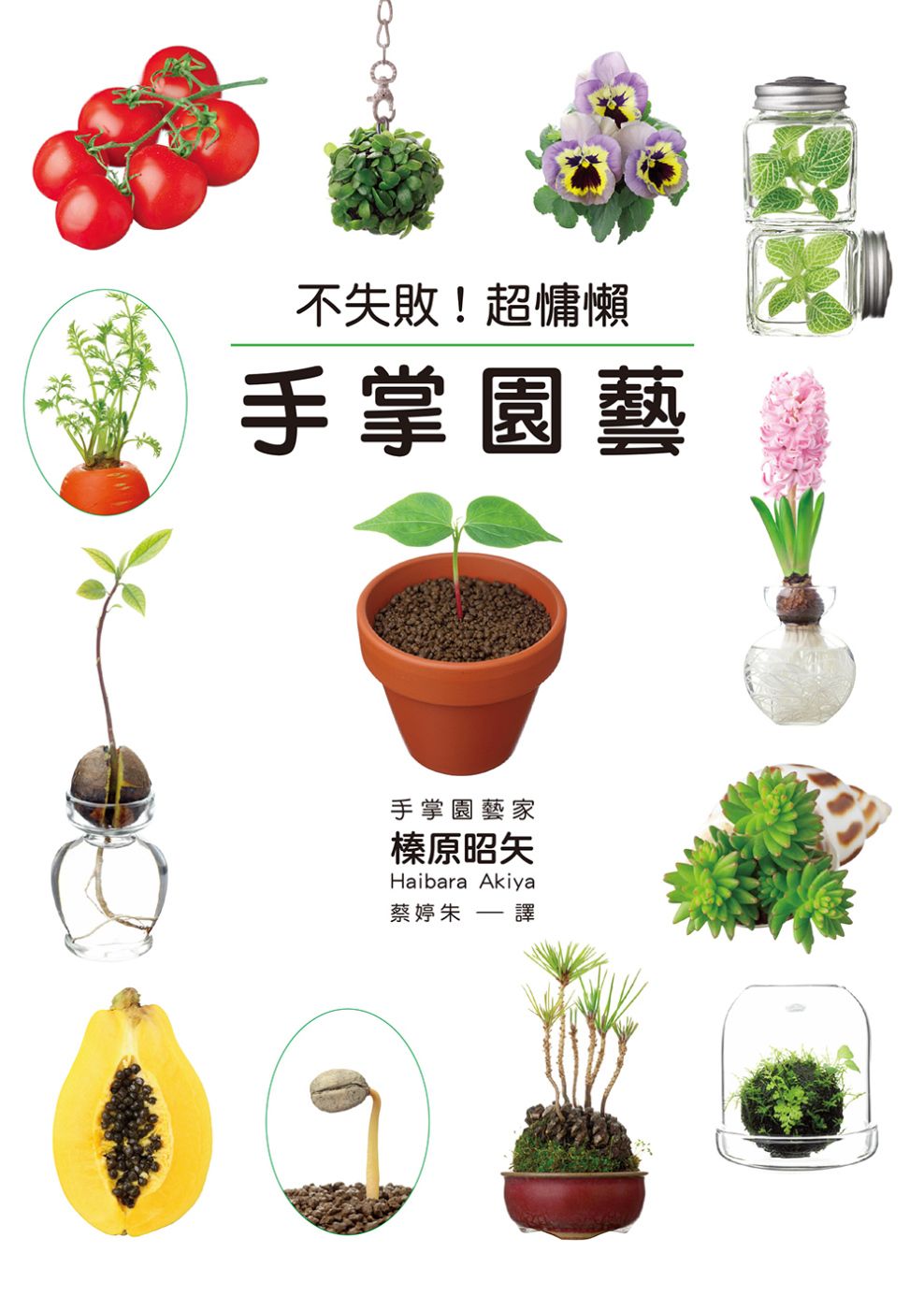 不失敗！超慵懶手掌園藝：門檻最低！200款植物隨便你挑著種