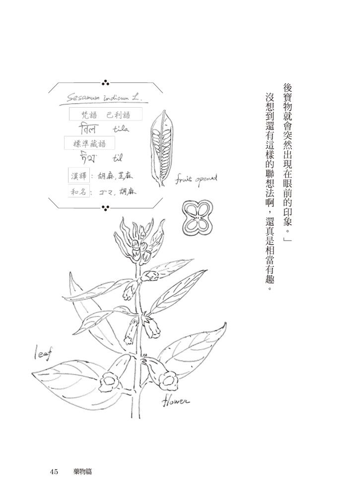 0010725939_b_06.jpg