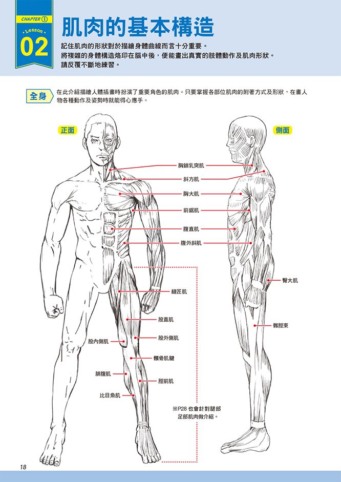 0010755418_b_03.jpg