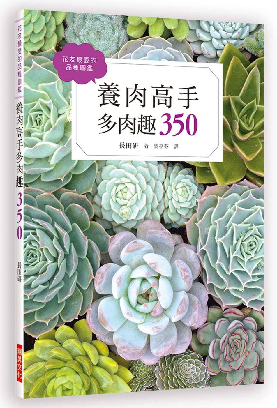 養肉高手多肉趣：花友最愛的品種圖鑑